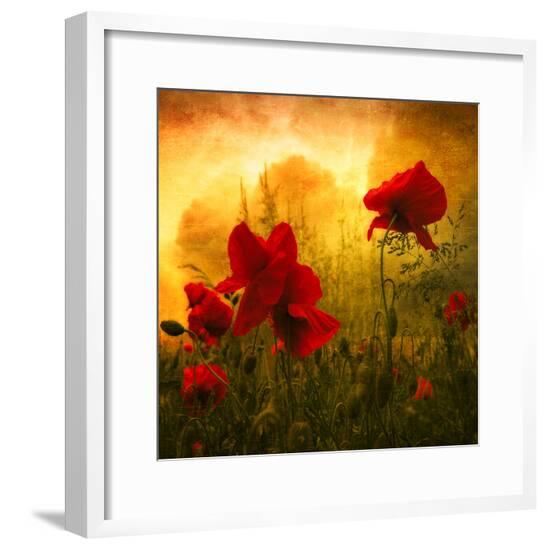 Framed Photographic Print, , large
