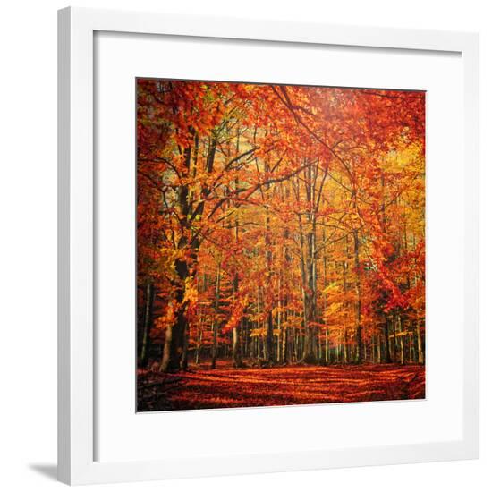 Framed Photographic Print, , large