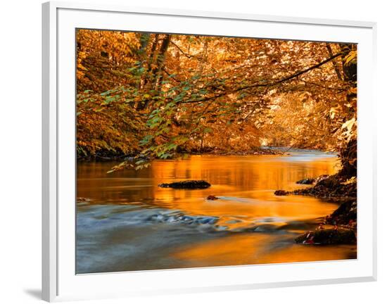 Framed Photographic Print, , large