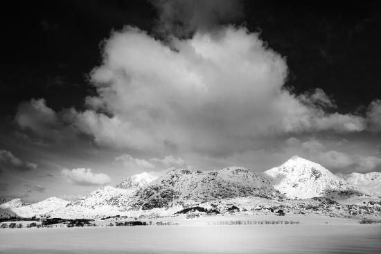 Premium Photographic Print, , large