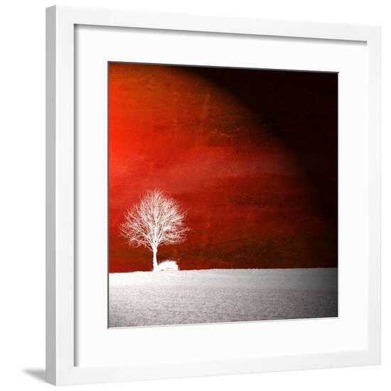 Framed Photographic Print, , large