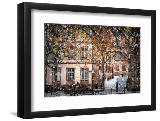 Premium Photographic Print, , large