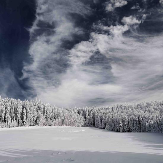 Premium Photographic Print, , large