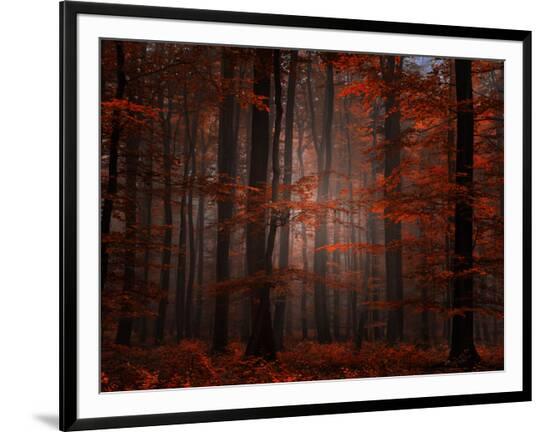 Framed Photographic Print, , large