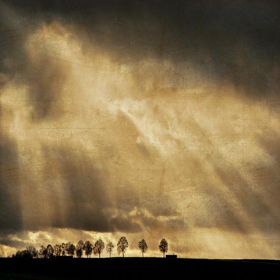 Premium Photographic Print, , large