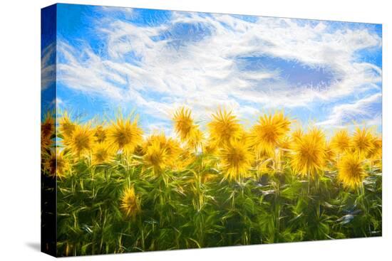 Stretched Canvas Print, , large