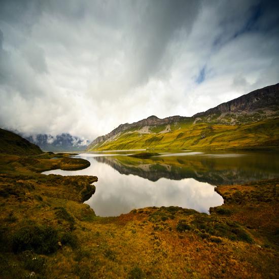 Premium Photographic Print, , large