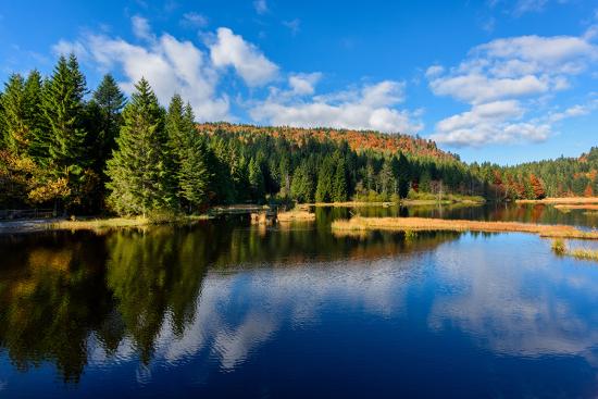 Premium Photographic Print, , large