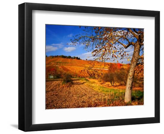 Premium Photographic Print, , large