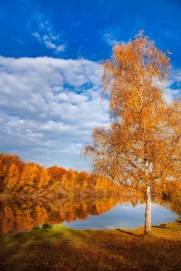 Premium Photographic Print, , large