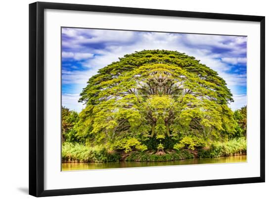 Photographic Print, , large