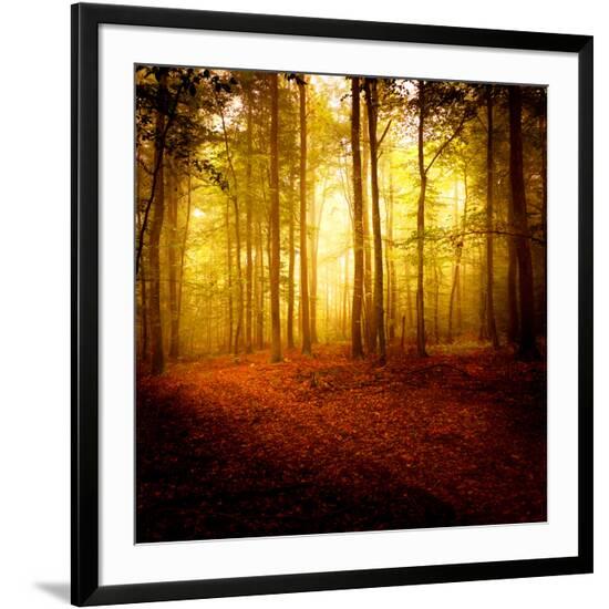 Framed Photographic Print, , large
