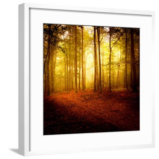 Framed Photographic Print, , large