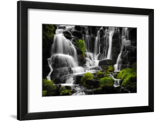 Framed Photographic Print, , large