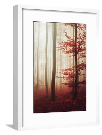 Framed Photographic Print, , large