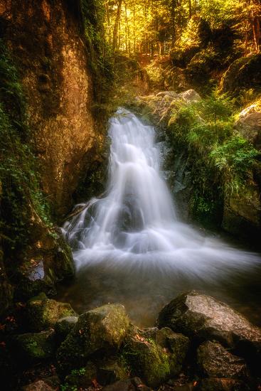 Premium Photographic Print, , large