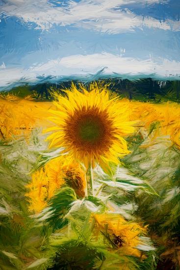 Premium Photographic Print, , large