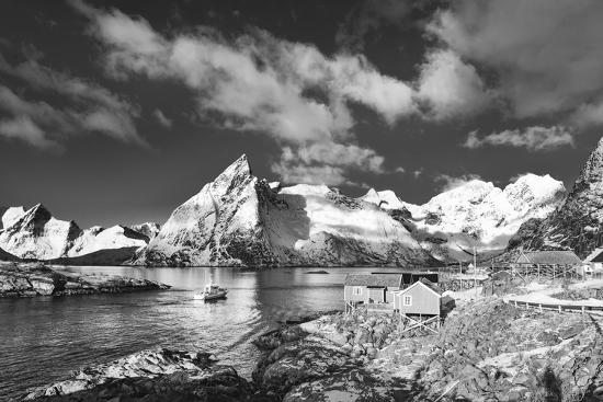 Premium Photographic Print, , large