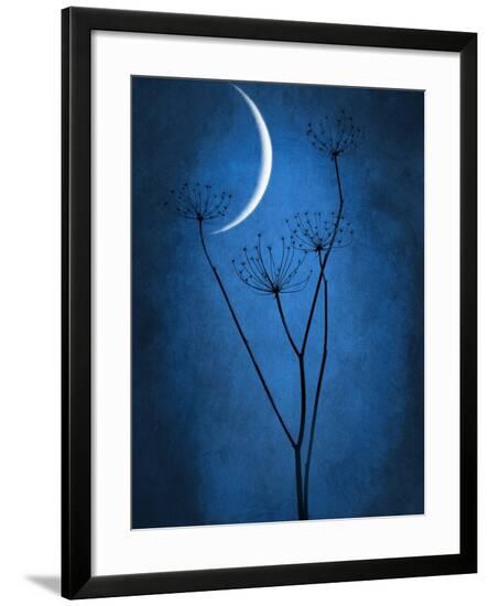Framed Photographic Print, , large