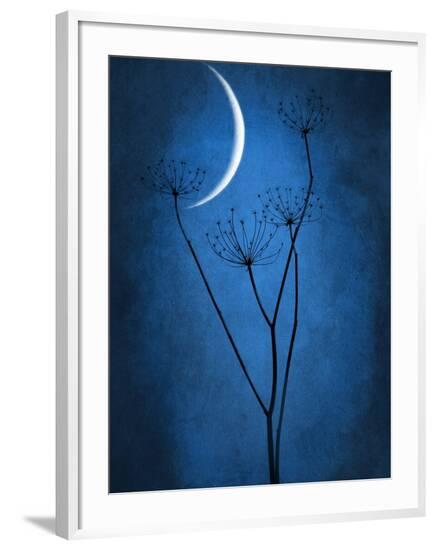 Framed Photographic Print, , large