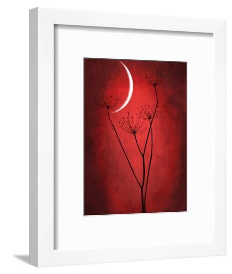 Framed Photographic Print, , large