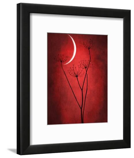 Framed Photographic Print, , large