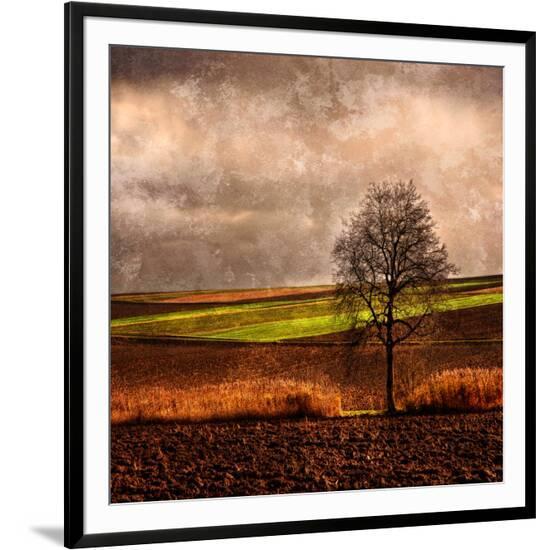 Framed Photographic Print, , large