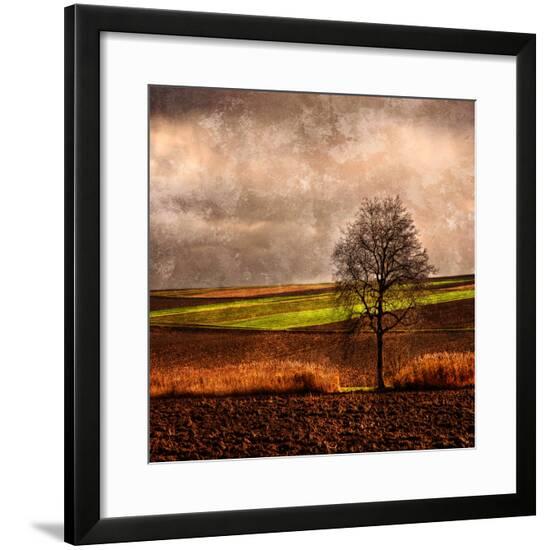 Framed Photographic Print, , large