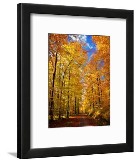 Framed Photographic Print, , large