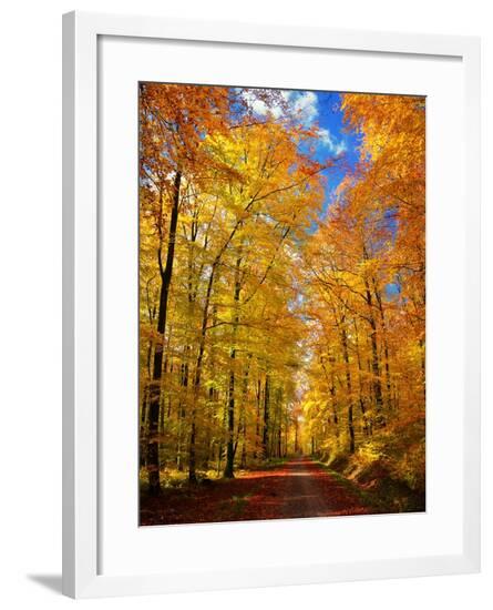 Framed Photographic Print, , large