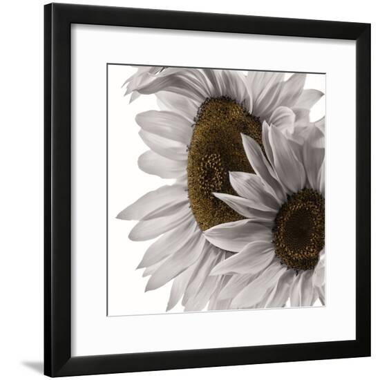 Framed Photographic Print, , large