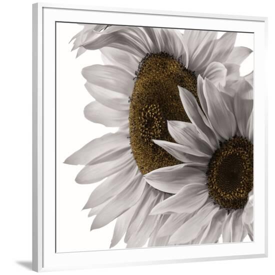 Framed Photographic Print, , large