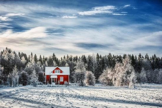 Premium Photographic Print, , large