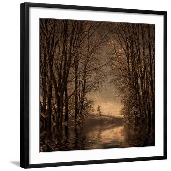 Premium Photographic Print, , large
