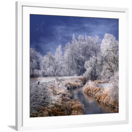 Framed Photographic Print, , large
