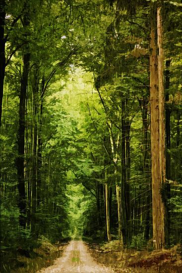 Premium Photographic Print, , large
