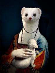 Ferret Posters Prints Paintings Wall Art Allposters Com