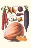 Vegetables; Peas, Onion, Turnip, Raddish, Green Beans-Philippe-Victoire Leveque de Vilmorin-Art Print