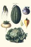 Vegetables; Peas, Melon, Brussel Sprouts, Gourb,-Philippe-Victoire Leveque de Vilmorin-Art Print