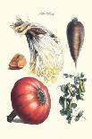 Vegetables; Cabbage, Peas, Strawberries, and Carrot-Philippe-Victoire Leveque de Vilmorin-Art Print