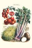 Vegetables; Peas, Melon, Brussel Sprouts, Gourb,-Philippe-Victoire Leveque de Vilmorin-Art Print