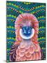 Philippine Eagle, 2020, (oil on canvas)-Jane Tattersfield-Mounted Giclee Print