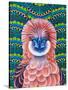 Philippine Eagle, 2020, (oil on canvas)-Jane Tattersfield-Stretched Canvas