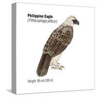 Philippine Eagle (Pithecophaga Jefferyi), Birds-Encyclopaedia Britannica-Stretched Canvas