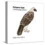 Philippine Eagle (Pithecophaga Jefferyi), Birds-Encyclopaedia Britannica-Stretched Canvas