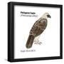 Philippine Eagle (Pithecophaga Jefferyi), Birds-Encyclopaedia Britannica-Framed Poster