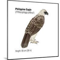 Philippine Eagle (Pithecophaga Jefferyi), Birds-Encyclopaedia Britannica-Mounted Poster