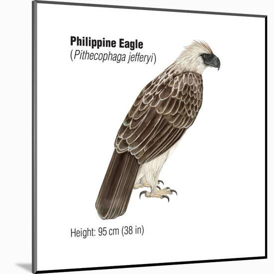 Philippine Eagle (Pithecophaga Jefferyi), Birds-Encyclopaedia Britannica-Mounted Poster