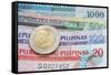 Philippine Peso-lenm-Framed Stretched Canvas