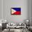 Philippines Flag Design with Wood Patterning - Flags of the World Series-Philippe Hugonnard-Framed Art Print displayed on a wall